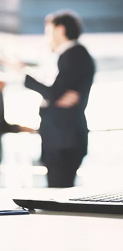 Peafowl Consulting support you in your B2B relations